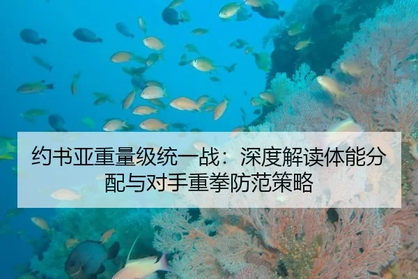 约书亚重量级统一战：深度解读体能分配与对手重拳防范策略